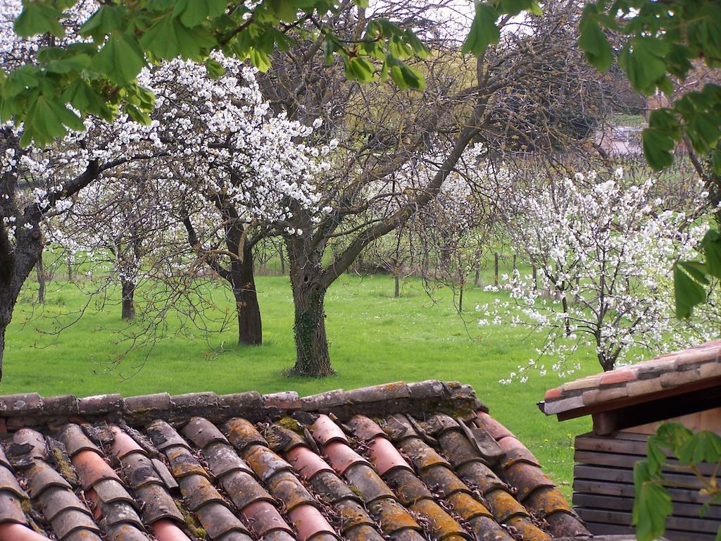 Maison d'hôtes Clos De Pomeir à Pommiers  Extérieur photo